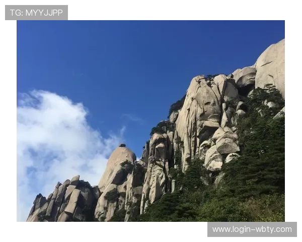 万博官网介绍：详细介绍平台的核心优势、特色服务以及用户体验提升方案