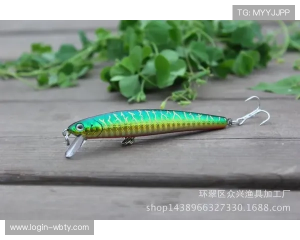 下载manbetx万博app下载后如何优化使用体验完全攻略